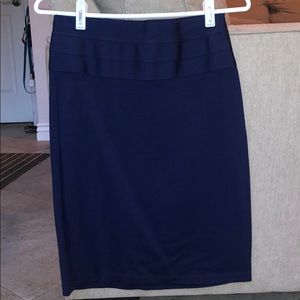 Navy Knee Length Skirt